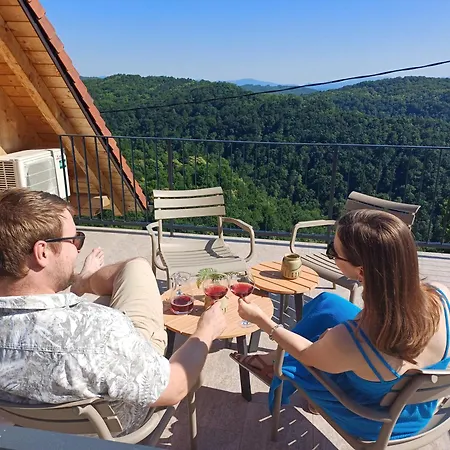 Vineyard Kraljevi Koticek