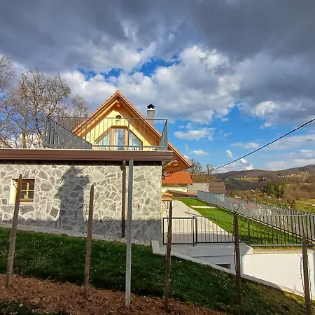 Vineyard Kraljevi Koticek *