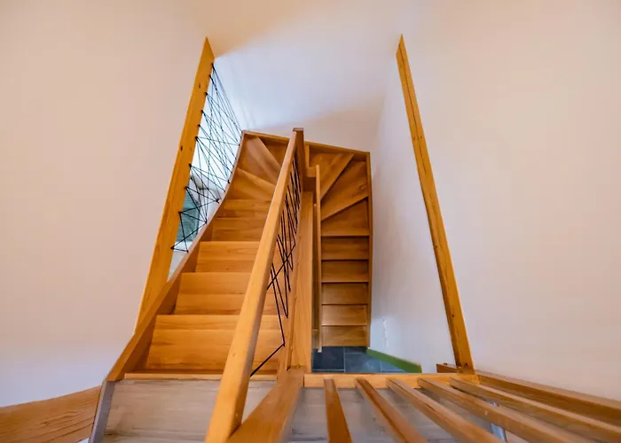 Vineyard Kraljevi Koticek