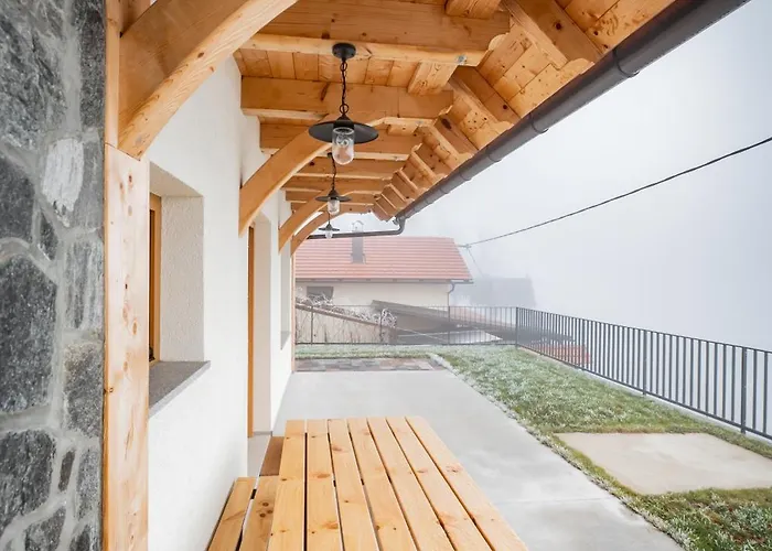 Vineyard Kraljevi Koticek * Trebnje