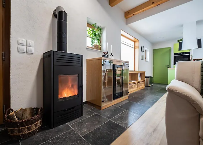 Vineyard Kraljevi Koticek Trebnje